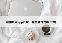 湖南公司app开发（湖南软件定制开发）