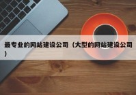 最专业的网站建设公司（大型的网站建设公司）