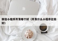 微信小程序开发哪个好（开发什么小程序比较好）