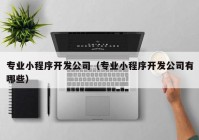 专业小程序开发公司（专业小程序开发公司有哪些）