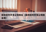 郑州软件开发公司排名（郑州软件开发公司排名榜）