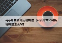 app开发公司历程概述（app开发公司历程概述怎么写）