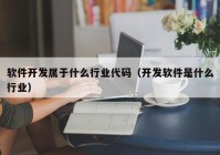 软件开发属于什么行业代码（开发软件是什么行业）