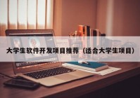 大学生软件开发项目推荐（适合大学生项目）