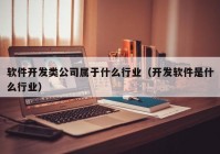 软件开发类公司属于什么行业（开发软件是什么行业）