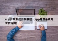 app开发系统开发教程（app开发系统开发教程图）