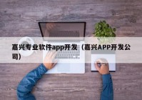 嘉兴专业软件app开发（嘉兴APP开发公司）