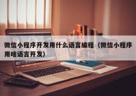 微信小程序开发用什么语言编程（微信小程序用啥语言开发）