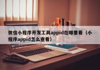 微信小程序开发工具appid在哪里看（小程序appid怎么查看）